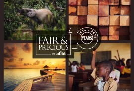 Fair&Precious turns 10: "Tropical timber, let's separate fact from fiction"