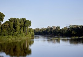 La Commission Carbone & Biodiversité de l’ATIBT publie sa 6e newsletter