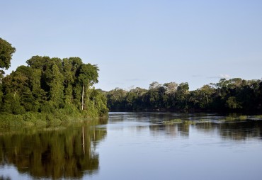 La Commission Carbone & Biodiversité de l’ATIBT publie sa 6e newsletter