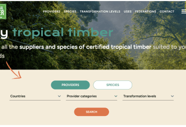 Webinaire de lancement de « My Tropical Timber » : la nouvelle plateforme de référence de l'ATIBT pour les professionnels du bois tropical