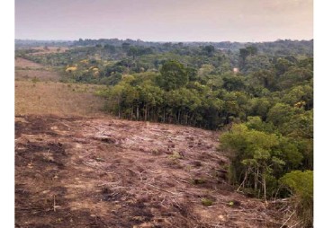 A WWF study points out the responsibility of the European Union in the degradation of tropical forests