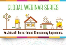 Join FAO webinar on innovative wood solutions for carbon neutrality