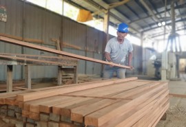 Sustainable tropical hardwood supply from Mexico and Guatemala: FSC-certified and EUDR-aligned community forestry enterprises.