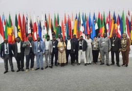 CITES CoP20 in Samarkand: Central Africa at the heart of debates on tropical timber trade