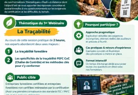 Formations Flash TTT : premier webinaire sur la traçabilité forestière et la certification PAFC/PEFC