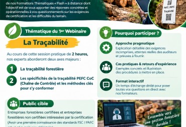 Formations Flash TTT : premier webinaire sur la traçabilité forestière et la certification PAFC/PEFC