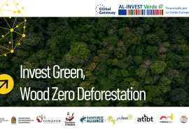 Webinar « Tropical Timber from the Selva Maya – EUDR-ready · Community-managed »