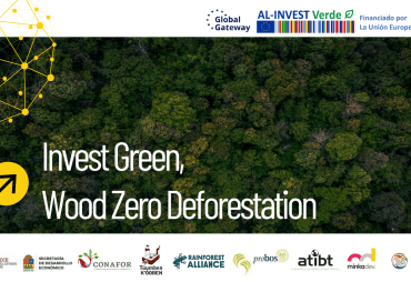 Webinar « Tropical Timber from the Selva Maya – EUDR-ready · Community-managed »