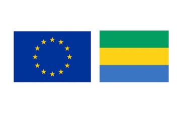 APV FLEGT GABON : L’UFIGA œuvre à la reprise des négociations entre le Gabon et l’Union Européenne