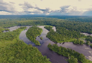 Impact Evaluation Study of Forest Management Systems on the Forest Cover in the Congo Basin