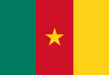 FSC Publishes The Revised National Forest Stewardship Standard of Cameroon*