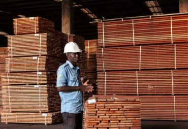 The creation of African Equatorial Hardwoods confirms Gabon's ambitions for sustainable timber management