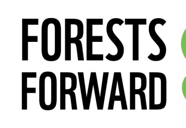 WWF presents its new wood risk tool as part of its "Forests Forward" project