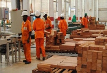President Ali Bongo plans to create 50,000 jobs in 5 years through wood processing!