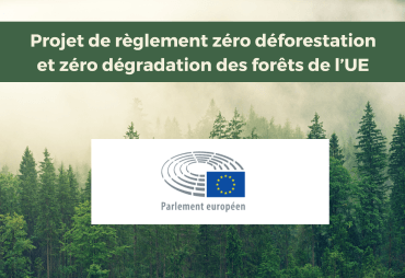 Projet de règlement zéro déforestation : éclairage sur la position du Parlement de l’UE