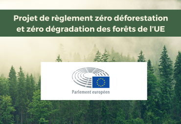 Draft regulation “zero deforestation”: light on the position of the EU Parliament 