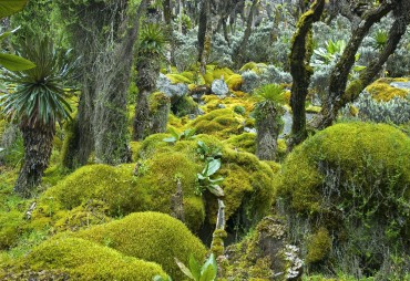 Réorienter l’économie vers la conservation de la nature