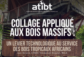 Nouvelle publication technique : Le collage appliqué aux bois massifs