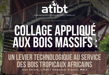 New technical publication: Gluing applied to solid wood