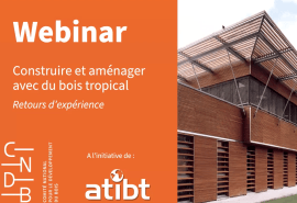 An ATIBT webinar on building and designing with tropical timber