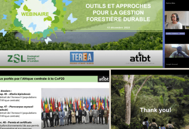 Strengthening forestry sector capacities: two webinars focusing on sustainable forest management issues and CITES requirements