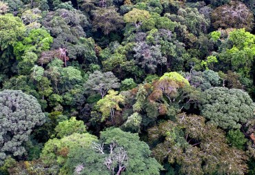 La Commission Forêt & Industrie