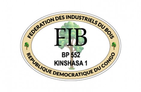 FIB (RDC)
