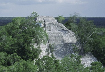 Bois certifié FSC provenant de Selva Maya