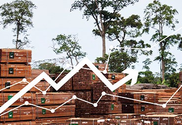 Tendances des marchés du bois tropical durable