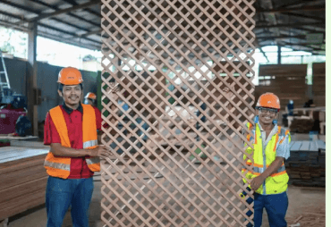 FSC Certified Timber from Selva Maya