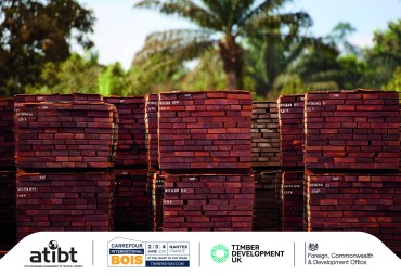 Bois tropicaux : Une meilleure gouvernance pour un meilleur commerce