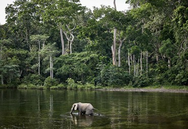 3-Carbone & Biodiversité