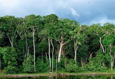 9-Publicaciones en español