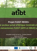 L’ATIBT et le projet FLEGT dans le Bassin du Congo