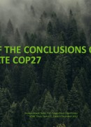Review of conclusions from COP27 