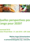 Programme du FSC Bassin du Congo : Etablissement d’un Groupe d’Experts Indigènes avec l’appui du Programme FAO-EU FLEGT
