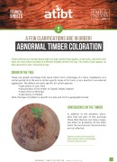 2. Abnormal timber coloration