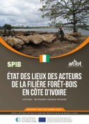 Côte d'Ivoire 2020