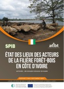 Côte d'Ivoire 2020
