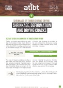 3. Schrinkage, deformation and drying cracks