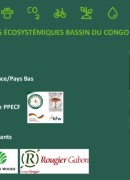 FSC - Beyond carbon: how to value biodiversity services in projects?