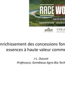 Enrichissement des concessions forestières avec des essences de bois de valeur. Projets : Dynaffor - P3FAC - AFRITIMB