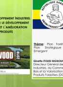 Plan Forêt-Bois du Plan Stratégique Gabon Emergeant