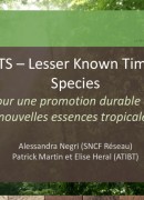 Projet LKTS de l’ATIBT (Lesser Known Timber Species)