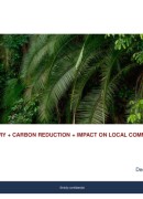 South Bridge - What are investors looking for in a forest carbon project and how can we work together?