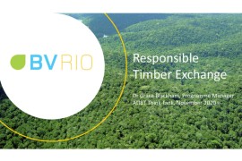 Presentation of BVRio's Responsible Timber Exchange website
