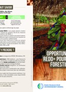 Plaquette Étude d’opportunité du mécanisme REDD + pour le secteur privé forestier