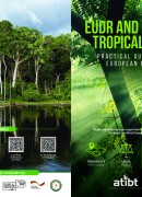 EUDR and certified tropical timber: Practical guidelines for european importers