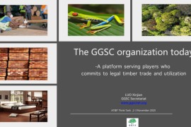 The GGSC organization today