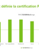 Creation and development of PAFC Congo Basin / The SFM standard and the operationalisation of the Congo Basin PAFC / PEFC and the chain of custody